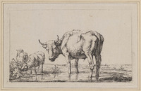 KG 07985
<br/>
Koe en twee schapen
<br/>
<em>Kobell, Jan Baptist (1778-1814)</em>